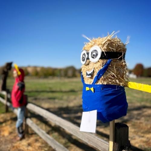 Straw Based Scarecrow