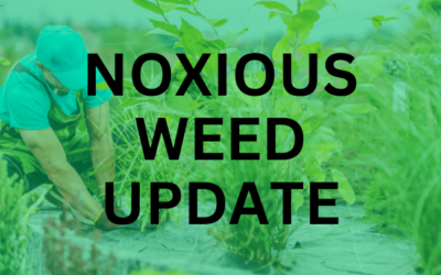 Noxious Weeds Update