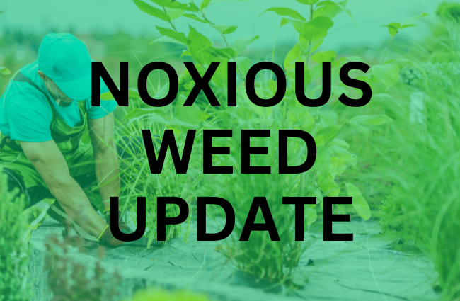 Noxious Weeds Update